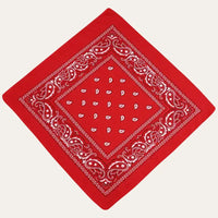 Rode Bandana